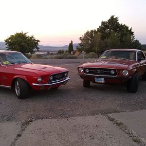 Meet your Posher, Felipe